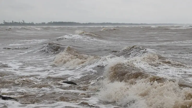 Đài PTTH Hà Nội